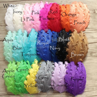 PLUMA RIZADA 6 UNDS SURTIDAS